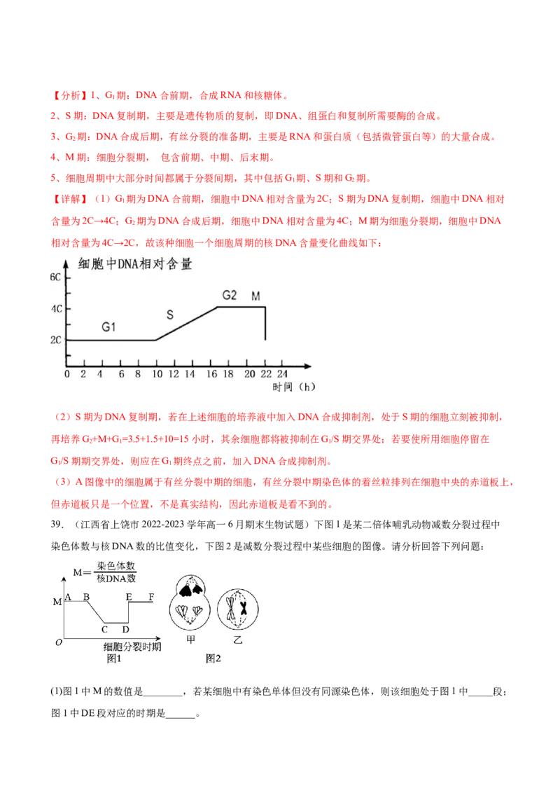 第四单元细胞的生命历程（测试）（解析版）_2024年新高考资料_1.2024一轮复习_2024年高考生物一轮复习讲练测（新教材新高考）
