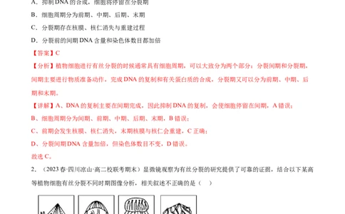 第四单元细胞的生命历程（测试）（解析版）_2024年新高考资料_1.2024一轮复习_2024年高考生物一轮复习讲练测（新教材新高考）