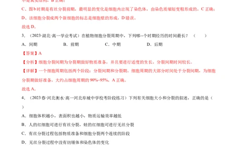 第四单元细胞的生命历程（测试）（解析版）_2024年新高考资料_1.2024一轮复习_2024年高考生物一轮复习讲练测（新教材新高考）