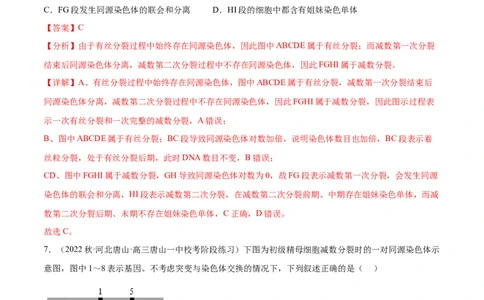 第四单元细胞的生命历程（测试）（解析版）_2024年新高考资料_1.2024一轮复习_2024年高考生物一轮复习讲练测（新教材新高考）