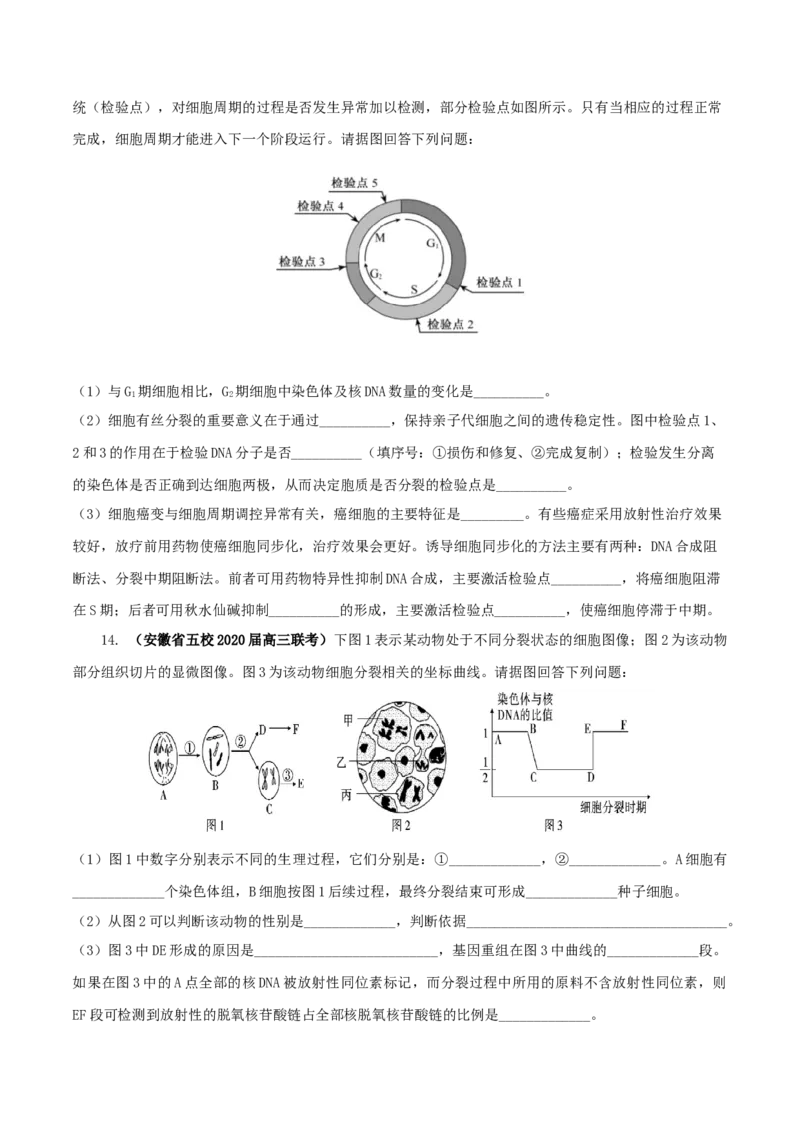 专题03有丝分裂与减数分裂的综合-备战2021年高考生物核心考点透析（原卷版）_新高考复习资料_2021年新高考资料_备战2021年高考生物核心考点透析