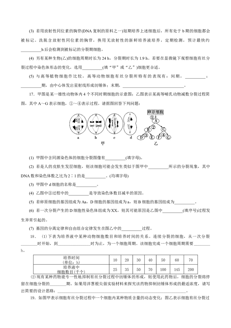 专题03有丝分裂与减数分裂的综合-备战2021年高考生物核心考点透析（原卷版）_新高考复习资料_2021年新高考资料_备战2021年高考生物核心考点透析