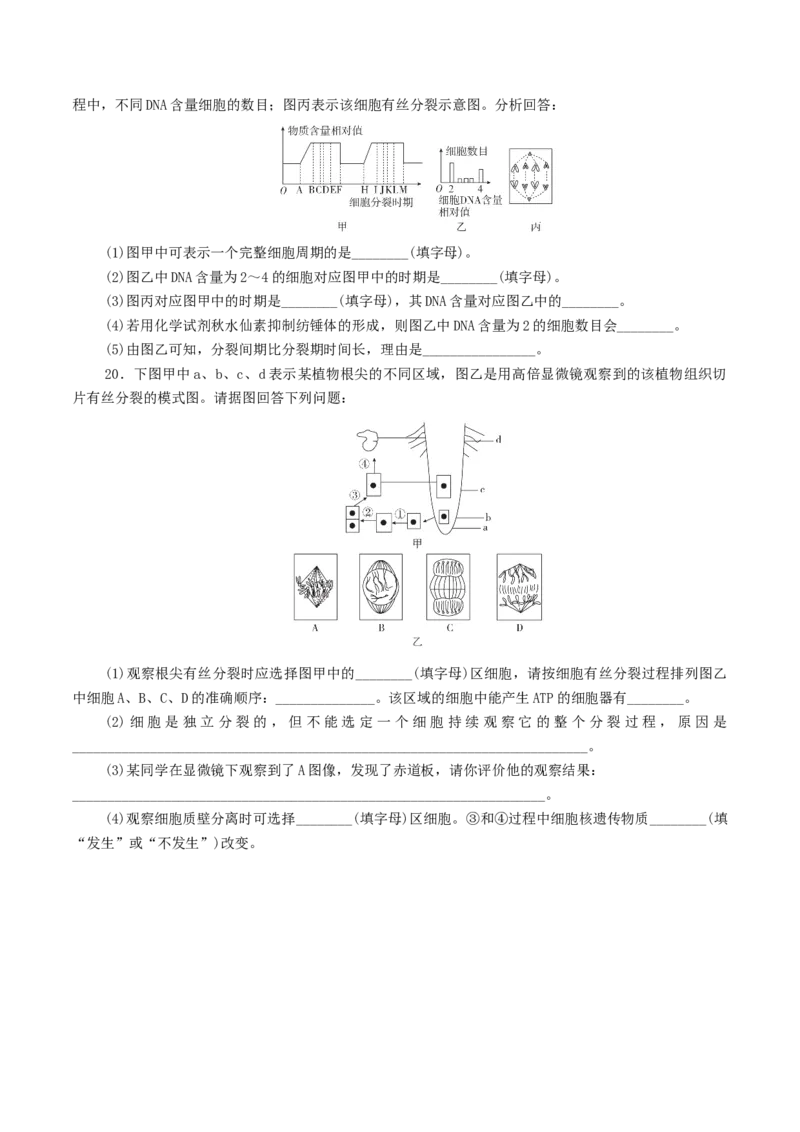 专题03有丝分裂与减数分裂的综合-备战2021年高考生物核心考点透析（原卷版）_新高考复习资料_2021年新高考资料_备战2021年高考生物核心考点透析