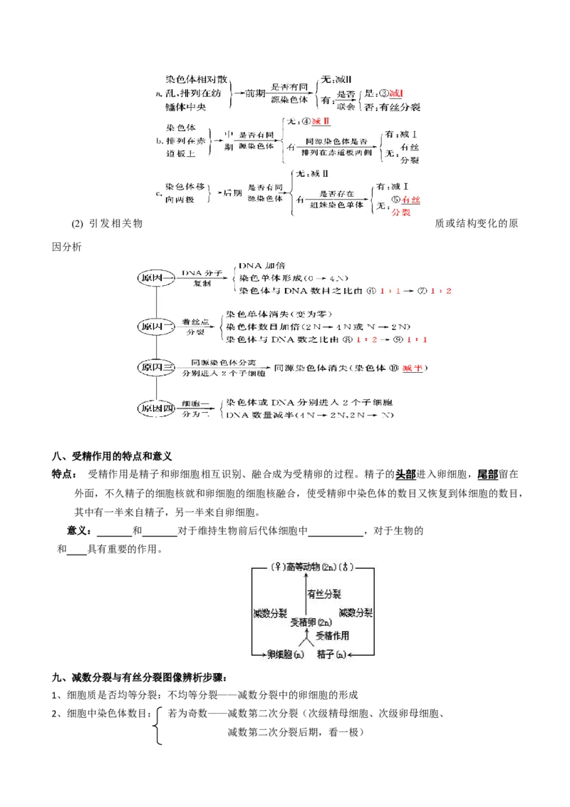 专题03有丝分裂与减数分裂的综合-备战2021年高考生物核心考点透析（原卷版）_新高考复习资料_2021年新高考资料_备战2021年高考生物核心考点透析