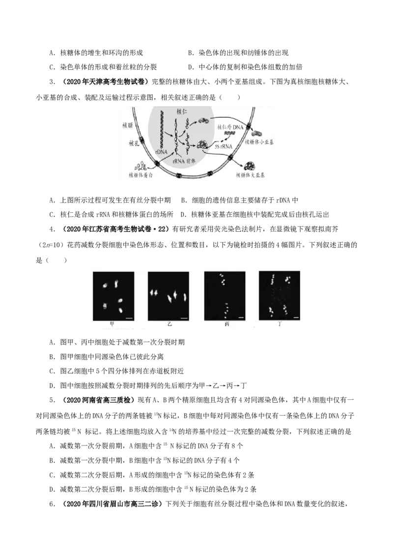 专题03有丝分裂与减数分裂的综合-备战2021年高考生物核心考点透析（原卷版）_新高考复习资料_2021年新高考资料_备战2021年高考生物核心考点透析