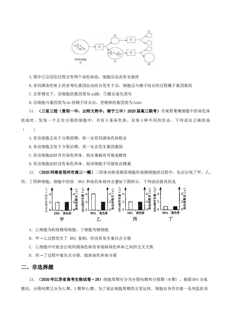 专题03有丝分裂与减数分裂的综合-备战2021年高考生物核心考点透析（原卷版）_新高考复习资料_2021年新高考资料_备战2021年高考生物核心考点透析