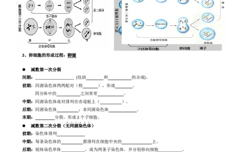 专题03有丝分裂与减数分裂的综合-备战2021年高考生物核心考点透析（原卷版）_新高考复习资料_2021年新高考资料_备战2021年高考生物核心考点透析