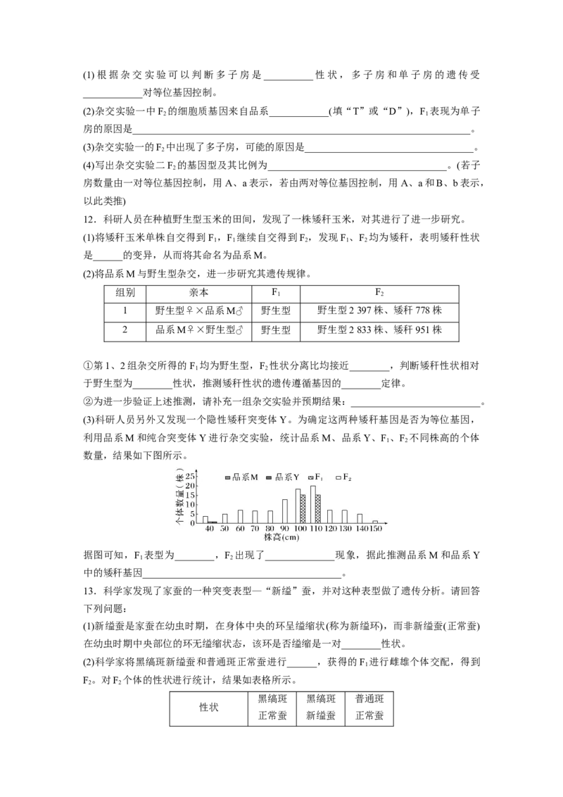 第5单元　课时练2　基因分离定律基础题型突破_2024年新高考资料_1.2024一轮复习_2024年高考生物一轮复习讲义（新人教版）_学生版在此文件夹_一轮复习69练_第五单元　基因的传递规律