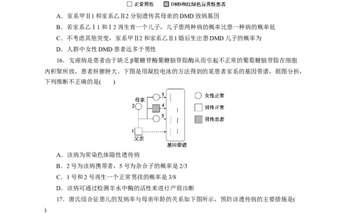 专题08伴性遗传和人类遗传病（测试卷）-2023年高考生物二轮复习讲练测（全国通用）（原卷版）_通用版（老高考）复习资料_2023年复习资料_二轮复习
