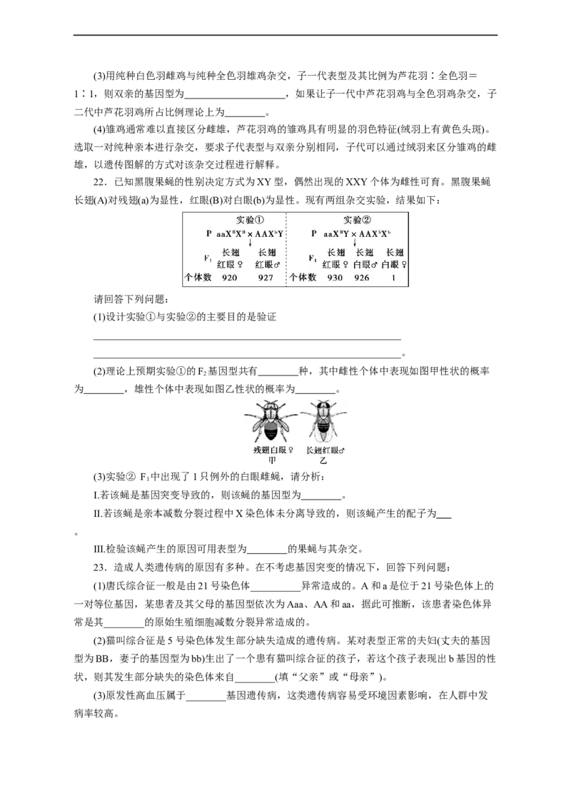 专题08伴性遗传和人类遗传病（测试卷）-2023年高考生物二轮复习讲练测（全国通用）（原卷版）_通用版（老高考）复习资料_2023年复习资料_二轮复习