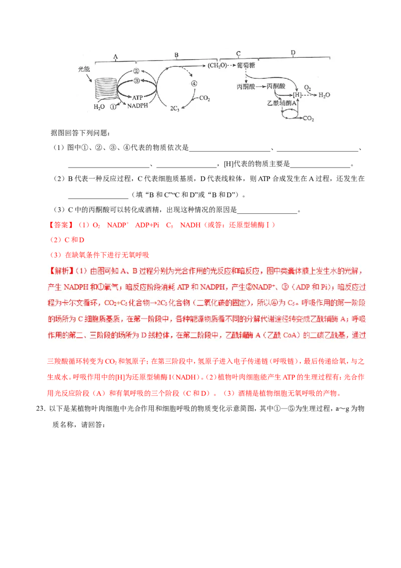 专题02细胞的代谢-备战2019年高考生物之纠错笔记系列（解析版）_新高考复习资料_2022年新高考复习资料_2022年一轮复习最新版_1.2022年高考生物一轮复习全国通用版