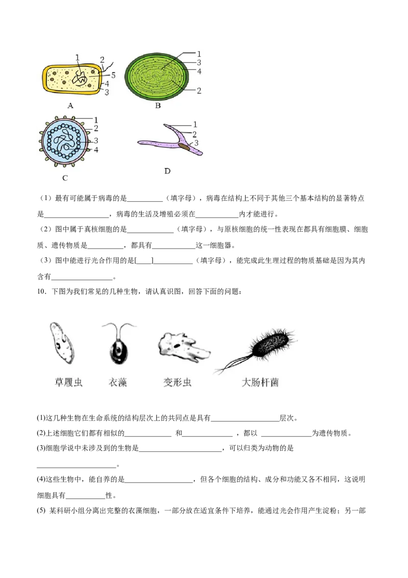 通关卷01走近细胞（原卷版）_2024年新高考资料_1.2024一轮复习_2024年高考生物一轮复习考点通关卷（新高考通用）_考点通关卷01+走近细胞-2024年高考生物一轮复习考点通关卷