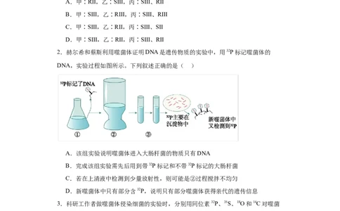 第六单元遗传的分子基础（测试卷）（原卷版)_2024年新高考资料_3.2024专项复习_备战2024年高考生物一轮复习重难点专项突破