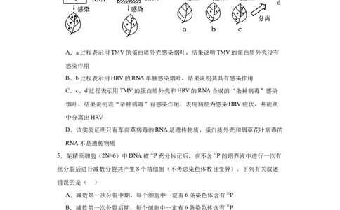 第六单元遗传的分子基础（测试卷）（原卷版)_2024年新高考资料_3.2024专项复习_备战2024年高考生物一轮复习重难点专项突破