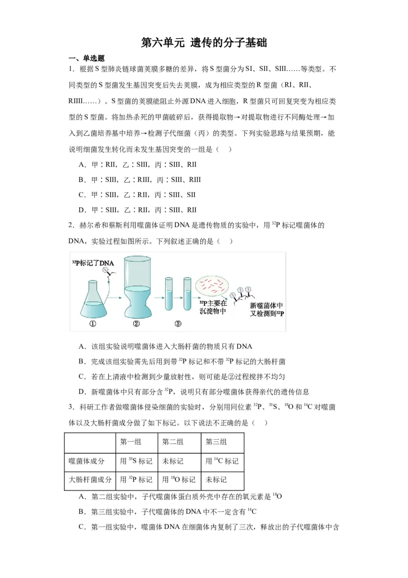 第六单元遗传的分子基础（测试卷）（原卷版)_2024年新高考资料_3.2024专项复习_备战2024年高考生物一轮复习重难点专项突破