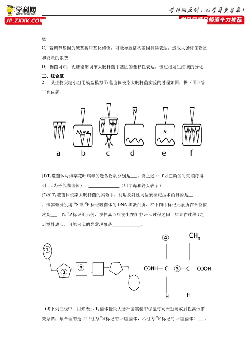 第六单元遗传的分子基础（测试卷）（原卷版)_2024年新高考资料_3.2024专项复习_备战2024年高考生物一轮复习重难点专项突破