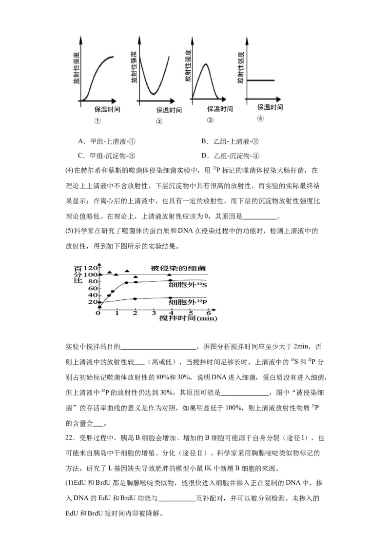 第六单元遗传的分子基础（测试卷）（原卷版)_2024年新高考资料_3.2024专项复习_备战2024年高考生物一轮复习重难点专项突破