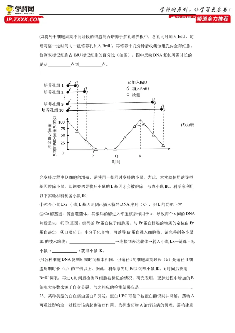 第六单元遗传的分子基础（测试卷）（原卷版)_2024年新高考资料_3.2024专项复习_备战2024年高考生物一轮复习重难点专项突破
