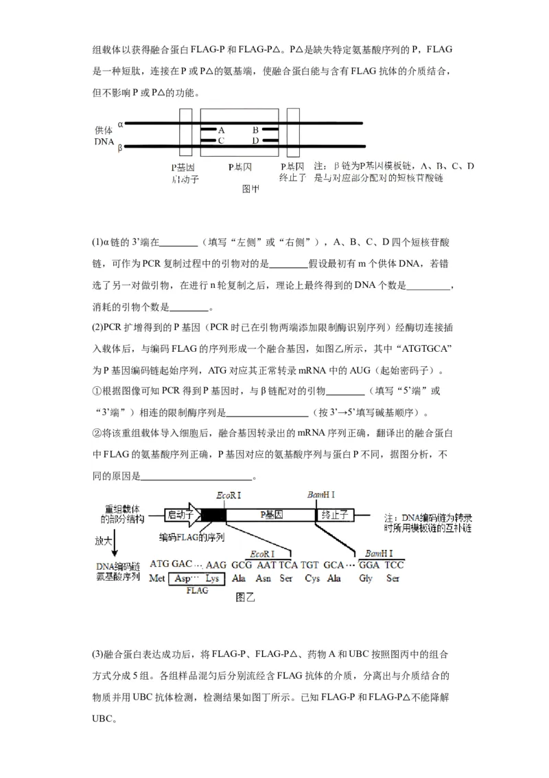 第六单元遗传的分子基础（测试卷）（原卷版)_2024年新高考资料_3.2024专项复习_备战2024年高考生物一轮复习重难点专项突破