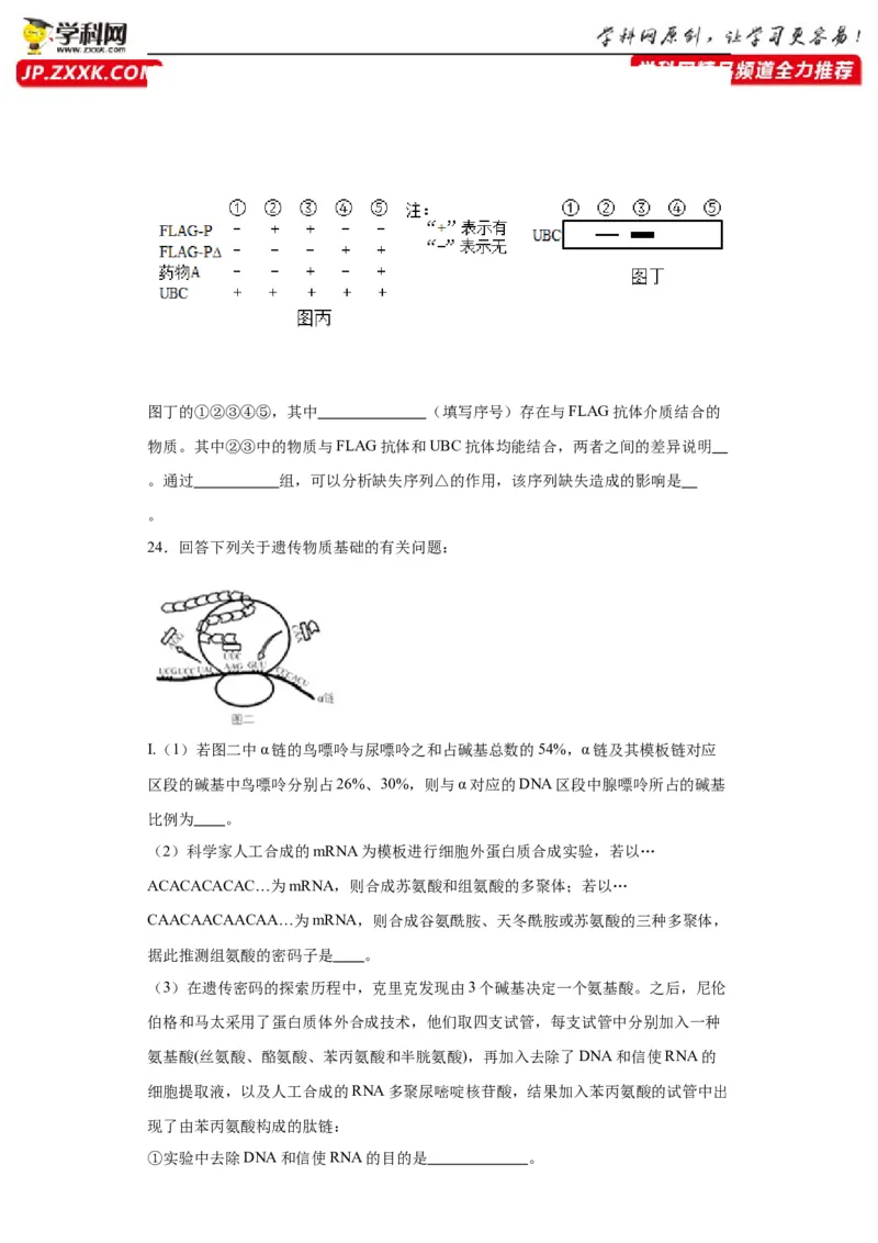 第六单元遗传的分子基础（测试卷）（原卷版)_2024年新高考资料_3.2024专项复习_备战2024年高考生物一轮复习重难点专项突破