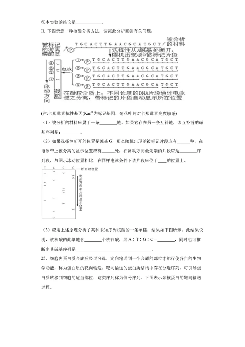 第六单元遗传的分子基础（测试卷）（原卷版)_2024年新高考资料_3.2024专项复习_备战2024年高考生物一轮复习重难点专项突破