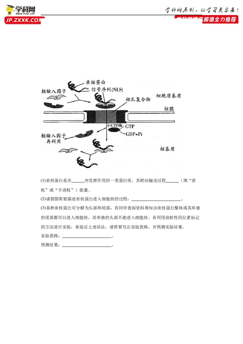 第六单元遗传的分子基础（测试卷）（原卷版)_2024年新高考资料_3.2024专项复习_备战2024年高考生物一轮复习重难点专项突破