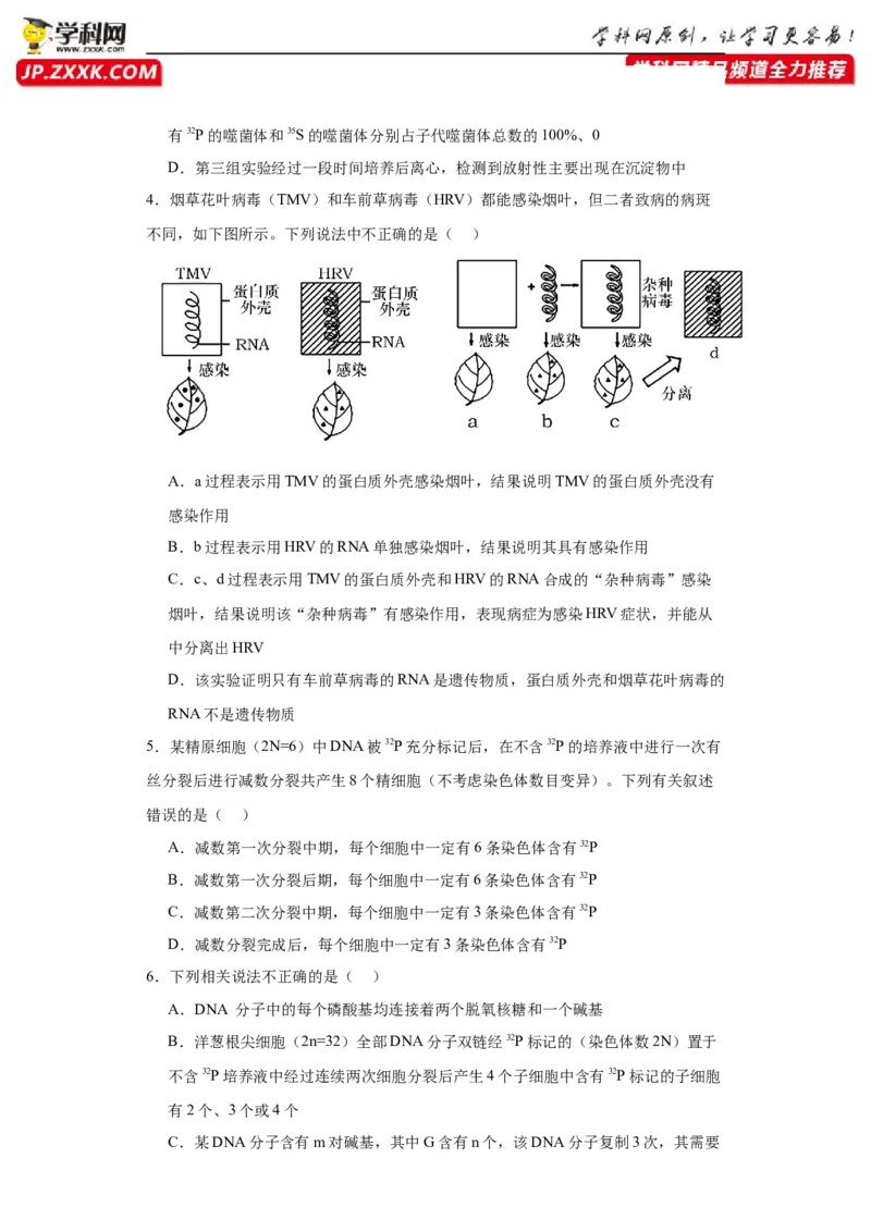 第六单元遗传的分子基础（测试卷）（原卷版)_2024年新高考资料_3.2024专项复习_备战2024年高考生物一轮复习重难点专项突破