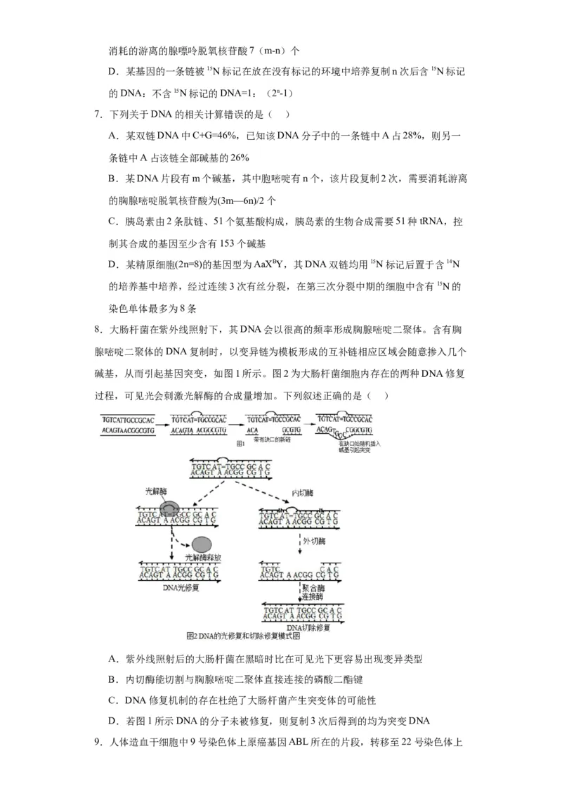第六单元遗传的分子基础（测试卷）（原卷版)_2024年新高考资料_3.2024专项复习_备战2024年高考生物一轮复习重难点专项突破