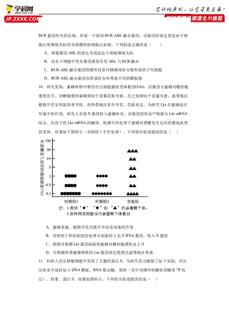 第六单元遗传的分子基础（测试卷）（原卷版)_2024年新高考资料_3.2024专项复习_备战2024年高考生物一轮复习重难点专项突破