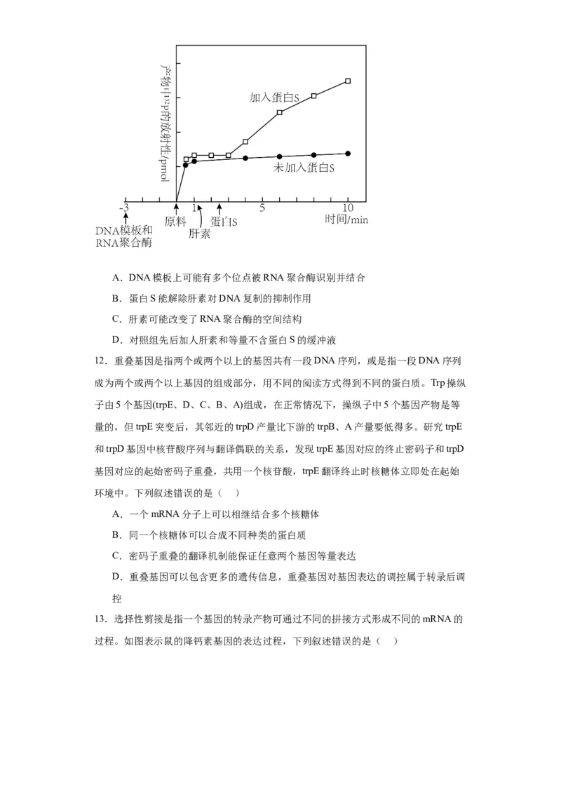 第六单元遗传的分子基础（测试卷）（原卷版)_2024年新高考资料_3.2024专项复习_备战2024年高考生物一轮复习重难点专项突破