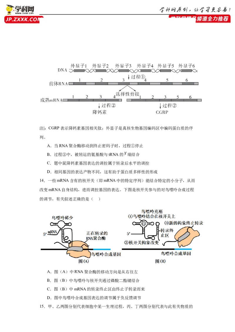 第六单元遗传的分子基础（测试卷）（原卷版)_2024年新高考资料_3.2024专项复习_备战2024年高考生物一轮复习重难点专项突破