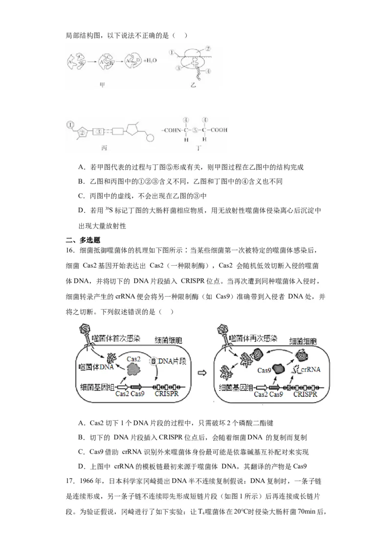 第六单元遗传的分子基础（测试卷）（原卷版)_2024年新高考资料_3.2024专项复习_备战2024年高考生物一轮复习重难点专项突破