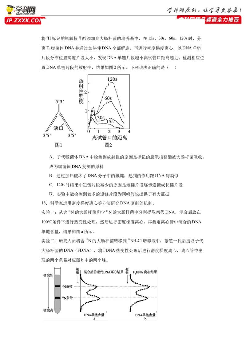 第六单元遗传的分子基础（测试卷）（原卷版)_2024年新高考资料_3.2024专项复习_备战2024年高考生物一轮复习重难点专项突破