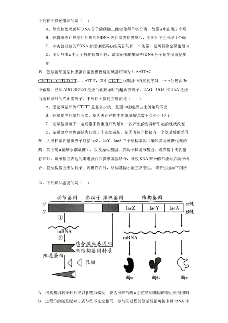 第六单元遗传的分子基础（测试卷）（原卷版)_2024年新高考资料_3.2024专项复习_备战2024年高考生物一轮复习重难点专项突破