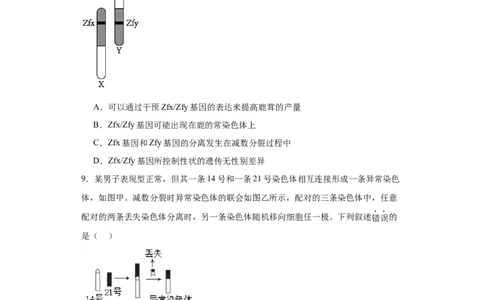 第七单元变异与进化（测试卷）（原卷版)_2024年新高考资料_3.2024专项复习_备战2024年高考生物一轮复习重难点专项突破