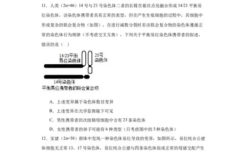 第七单元变异与进化（测试卷）（原卷版)_2024年新高考资料_3.2024专项复习_备战2024年高考生物一轮复习重难点专项突破