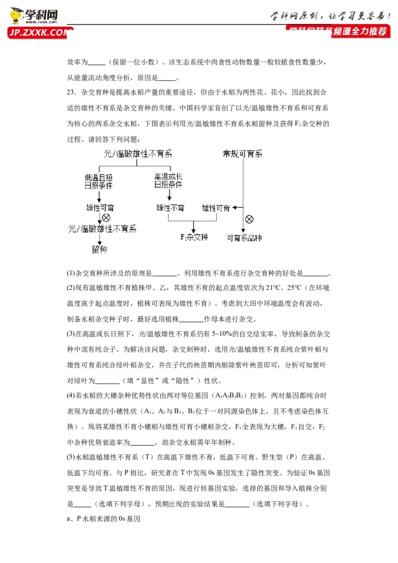第七单元变异与进化（测试卷）（原卷版)_2024年新高考资料_3.2024专项复习_备战2024年高考生物一轮复习重难点专项突破