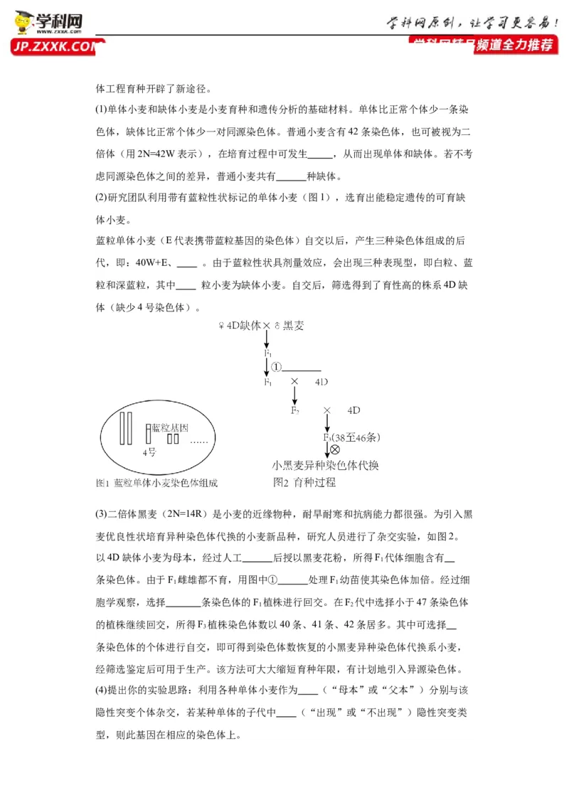 第七单元变异与进化（测试卷）（原卷版)_2024年新高考资料_3.2024专项复习_备战2024年高考生物一轮复习重难点专项突破