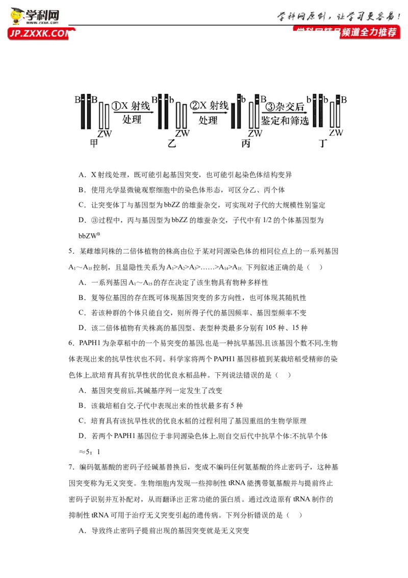 第七单元变异与进化（测试卷）（原卷版)_2024年新高考资料_3.2024专项复习_备战2024年高考生物一轮复习重难点专项突破