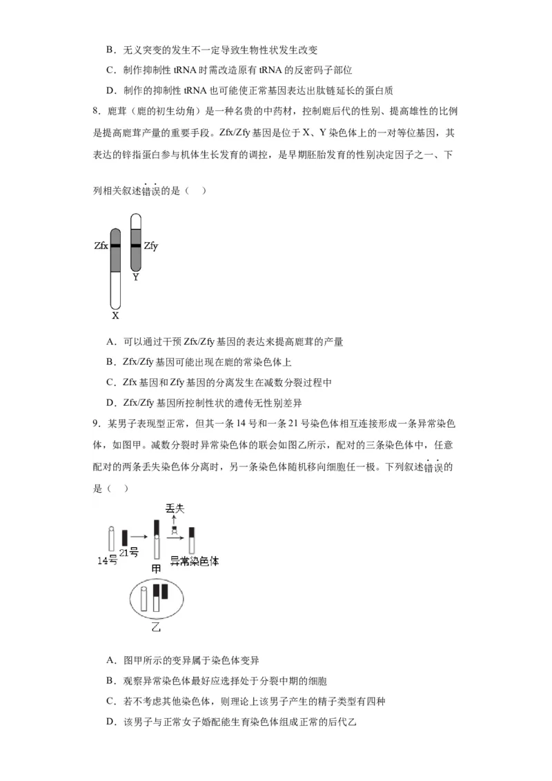 第七单元变异与进化（测试卷）（原卷版)_2024年新高考资料_3.2024专项复习_备战2024年高考生物一轮复习重难点专项突破
