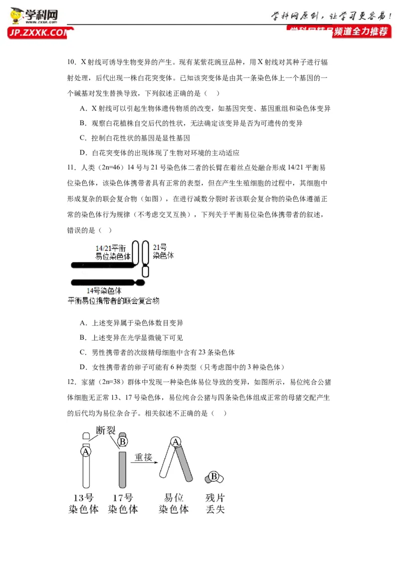 第七单元变异与进化（测试卷）（原卷版)_2024年新高考资料_3.2024专项复习_备战2024年高考生物一轮复习重难点专项突破