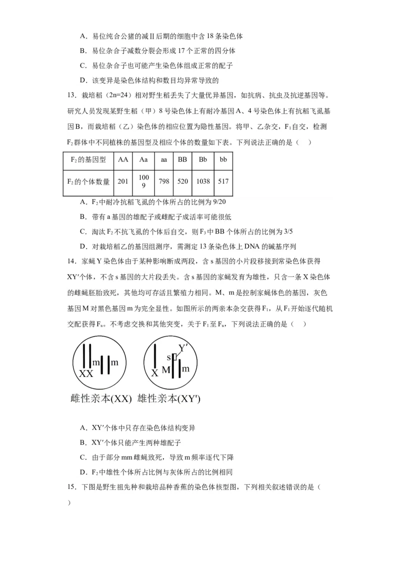第七单元变异与进化（测试卷）（原卷版)_2024年新高考资料_3.2024专项复习_备战2024年高考生物一轮复习重难点专项突破