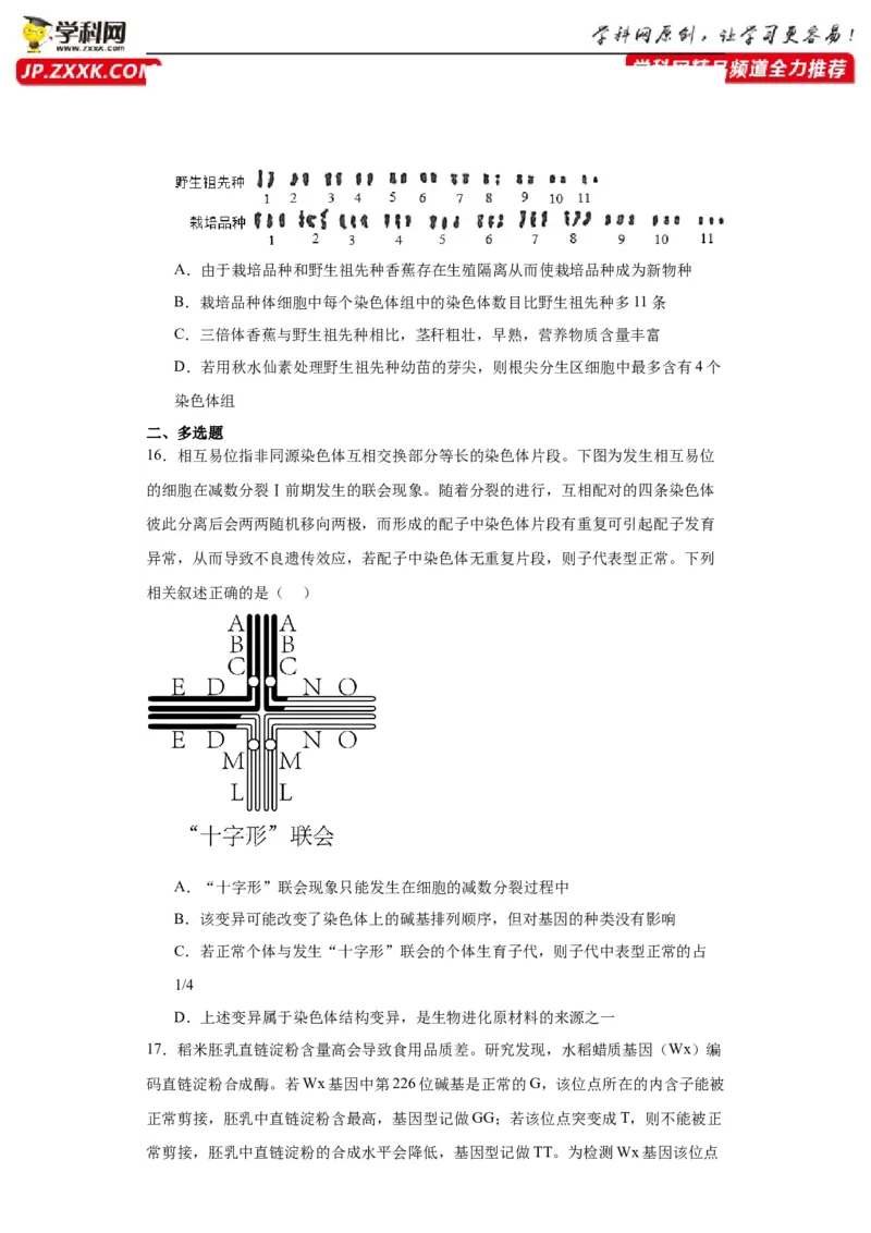 第七单元变异与进化（测试卷）（原卷版)_2024年新高考资料_3.2024专项复习_备战2024年高考生物一轮复习重难点专项突破
