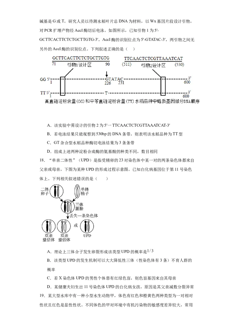 第七单元变异与进化（测试卷）（原卷版)_2024年新高考资料_3.2024专项复习_备战2024年高考生物一轮复习重难点专项突破