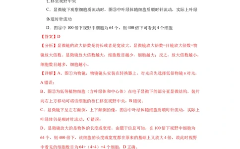 第一单元细胞及其分子组成（测试卷）（解析版)_2024年新高考资料_3.2024专项复习_备战2024年高考生物一轮复习重难点专项突破