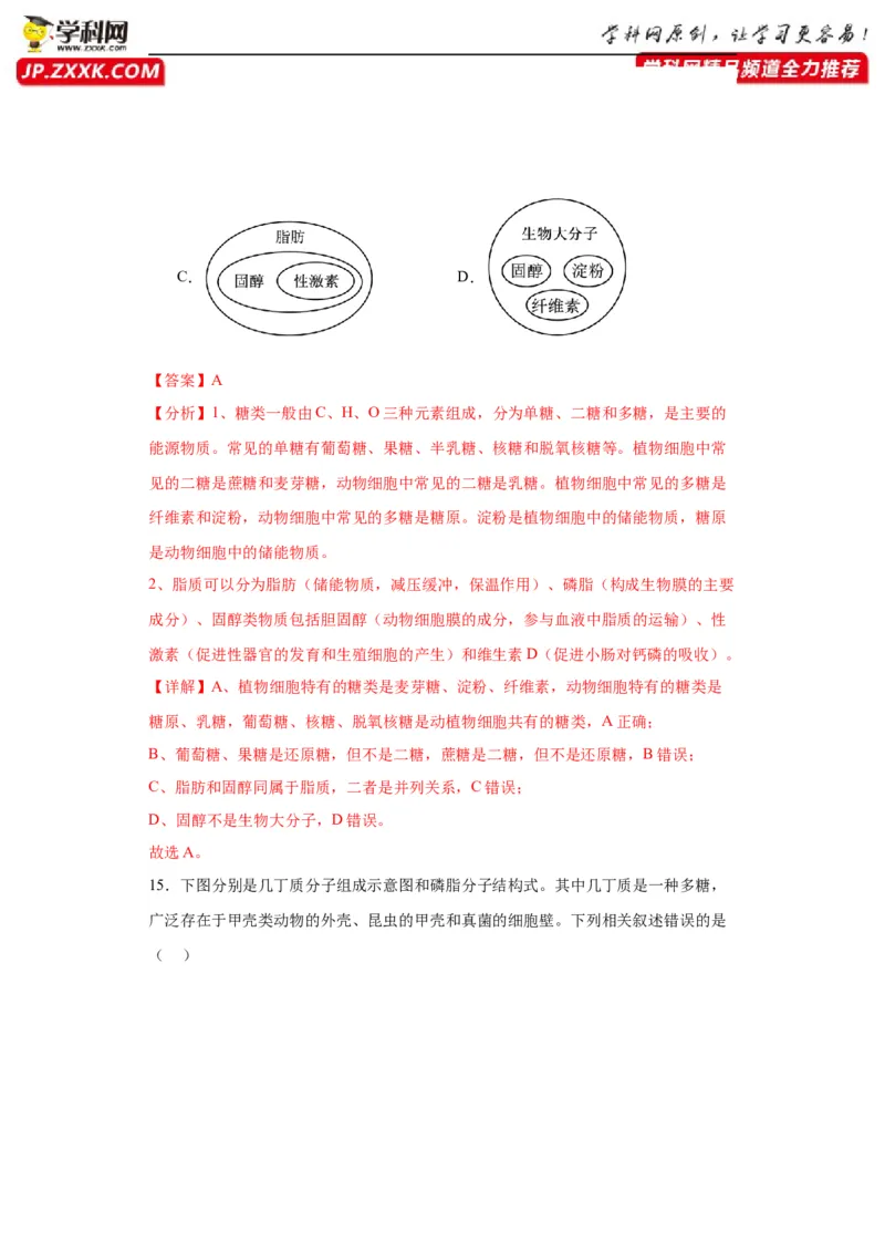 第一单元细胞及其分子组成（测试卷）（解析版)_2024年新高考资料_3.2024专项复习_备战2024年高考生物一轮复习重难点专项突破