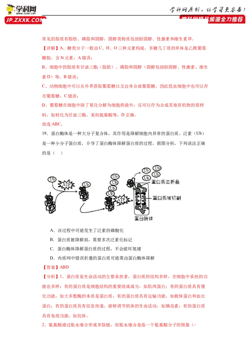 第一单元细胞及其分子组成（测试卷）（解析版)_2024年新高考资料_3.2024专项复习_备战2024年高考生物一轮复习重难点专项突破