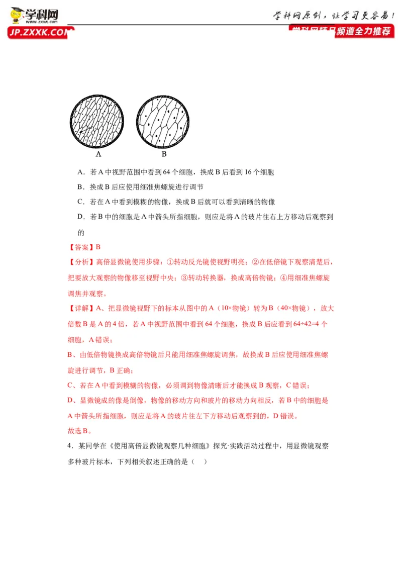 第一单元细胞及其分子组成（测试卷）（解析版)_2024年新高考资料_3.2024专项复习_备战2024年高考生物一轮复习重难点专项突破