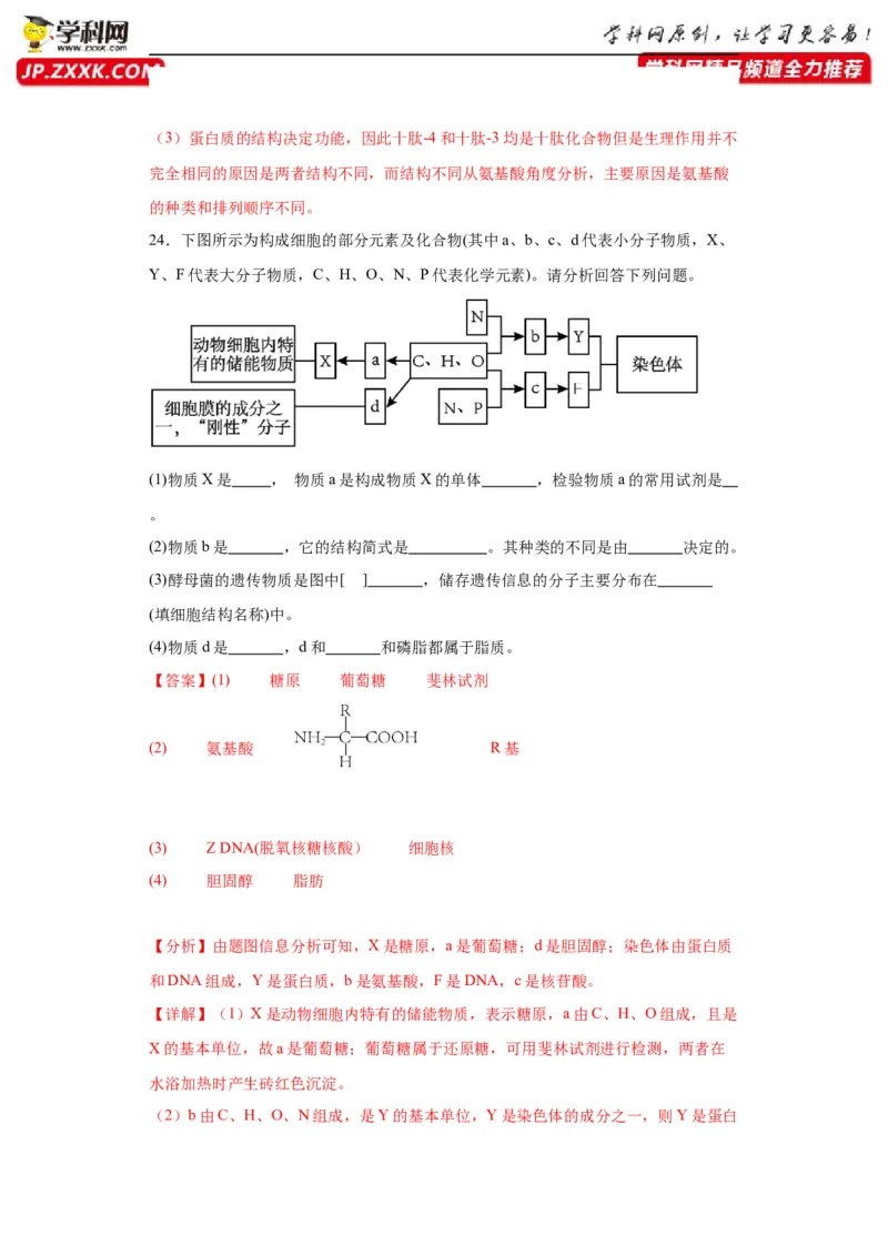 第一单元细胞及其分子组成（测试卷）（解析版)_2024年新高考资料_3.2024专项复习_备战2024年高考生物一轮复习重难点专项突破