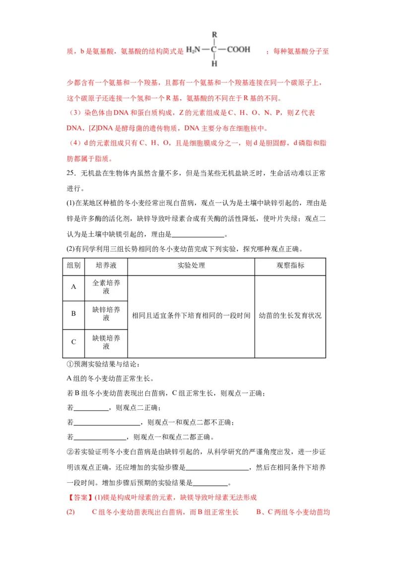 第一单元细胞及其分子组成（测试卷）（解析版)_2024年新高考资料_3.2024专项复习_备战2024年高考生物一轮复习重难点专项突破